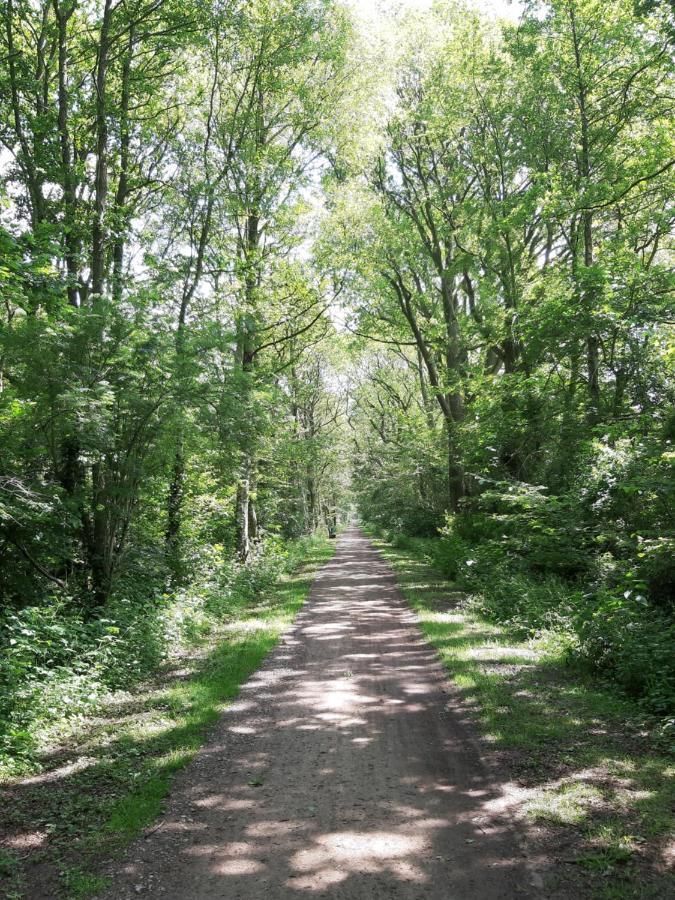 Ferienwohnung Am Ostfriesland-Wanderweg Rhauderfehn Esterno foto